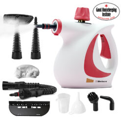 Steam Cleaner