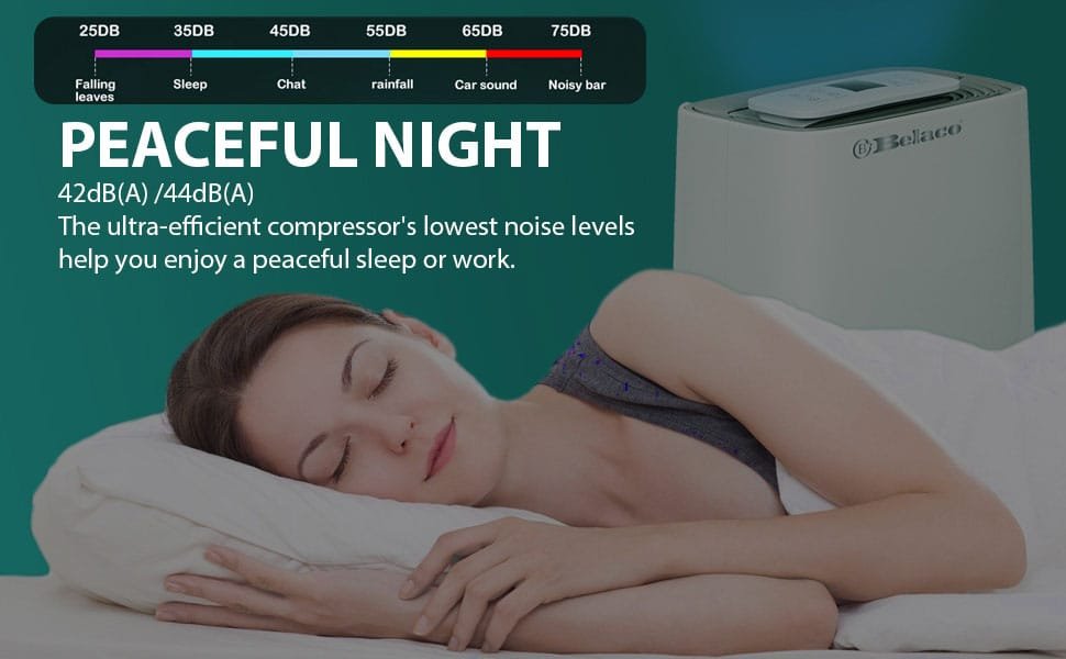 Dehumidifier