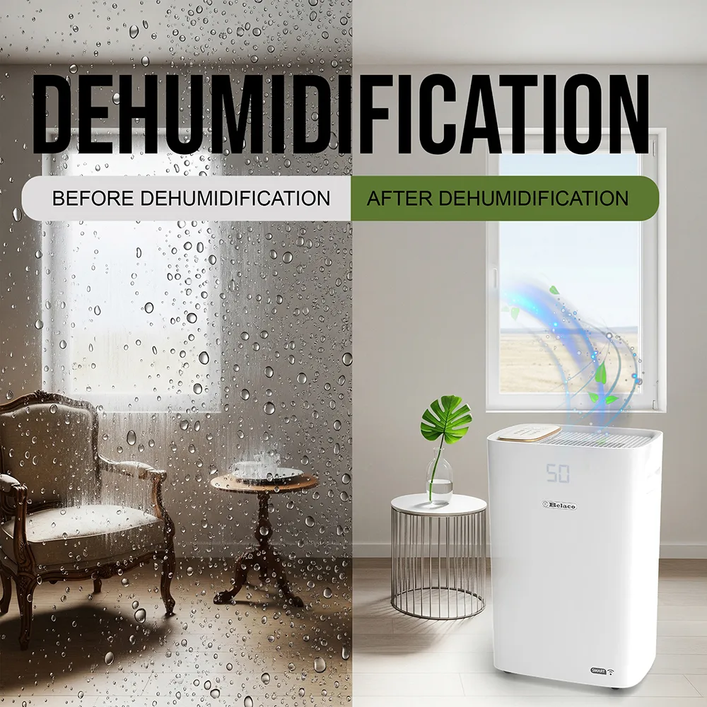 dehumidifier